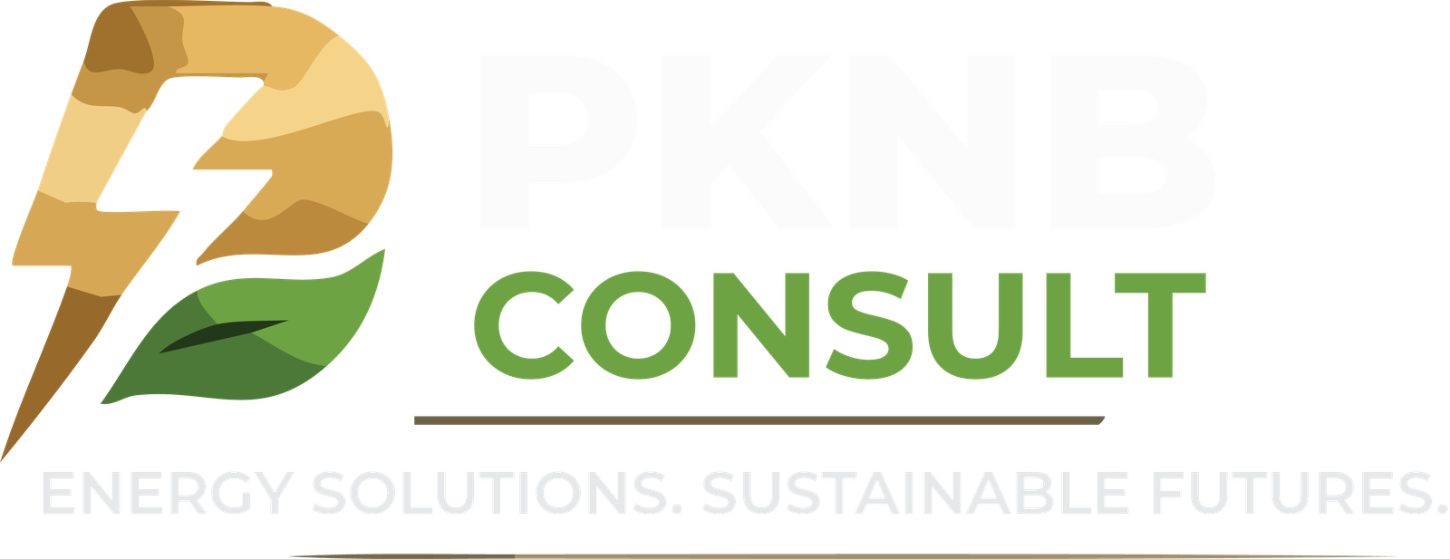 PKNB Consult Logo